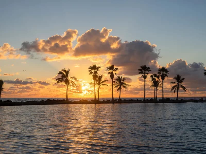 Ocean Wire Electric electricians serving Osprey